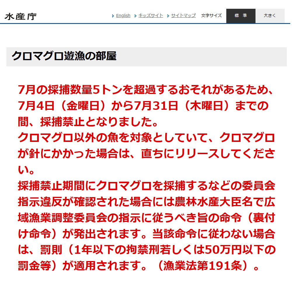 水産庁「クロマグロ遊漁の部屋」より 「7月の採捕数量5トンを超過するおそれがあるため、7月4日（金曜日）から7月31日（木曜日）までの間、採捕禁止となりました。
クロマグロ以外の魚を対象としていて、クロマグロが針にかかった場合は、直ちにリリースしてください。」