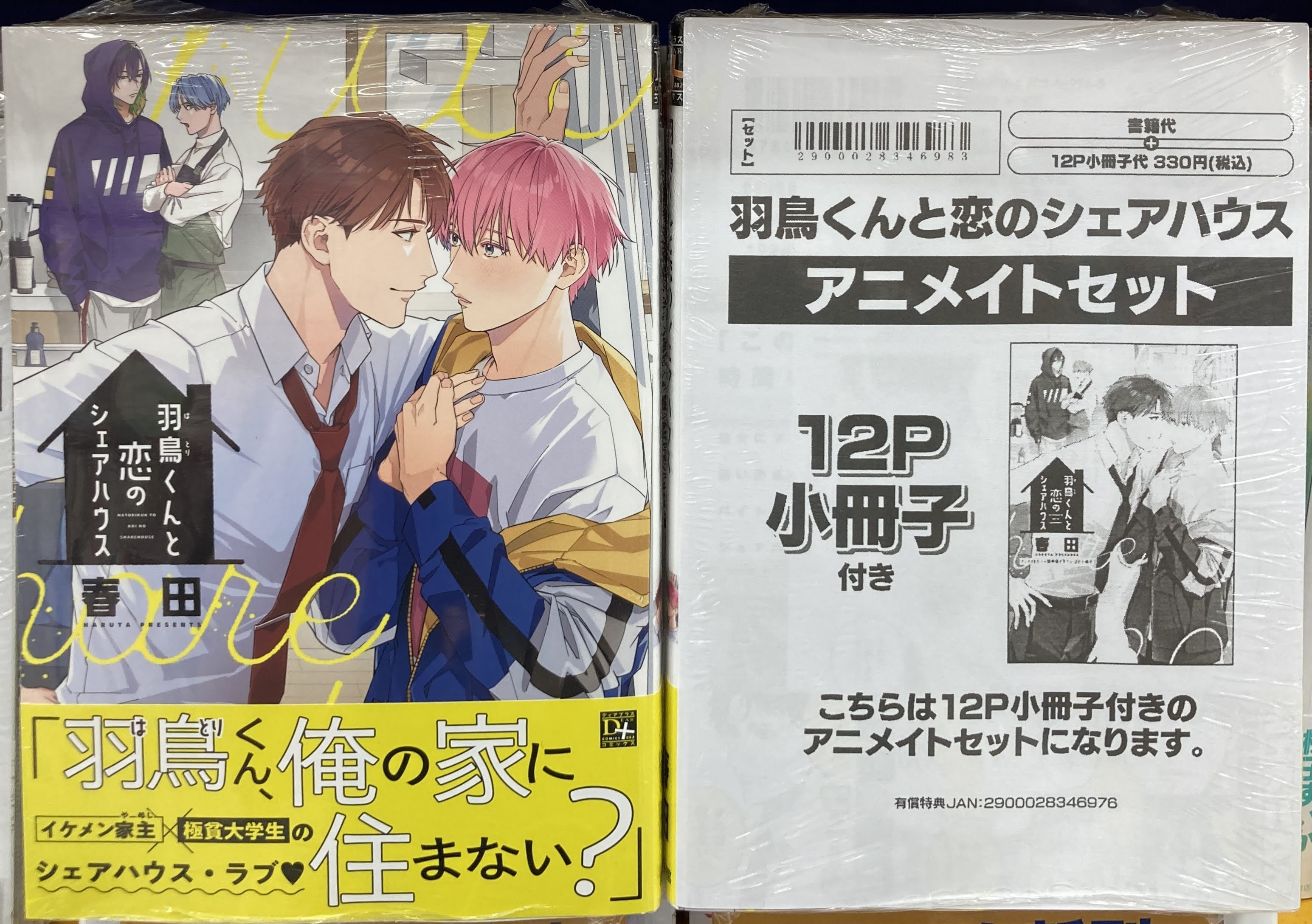 きんとうか アニメイト特典小冊子「宗定編」
