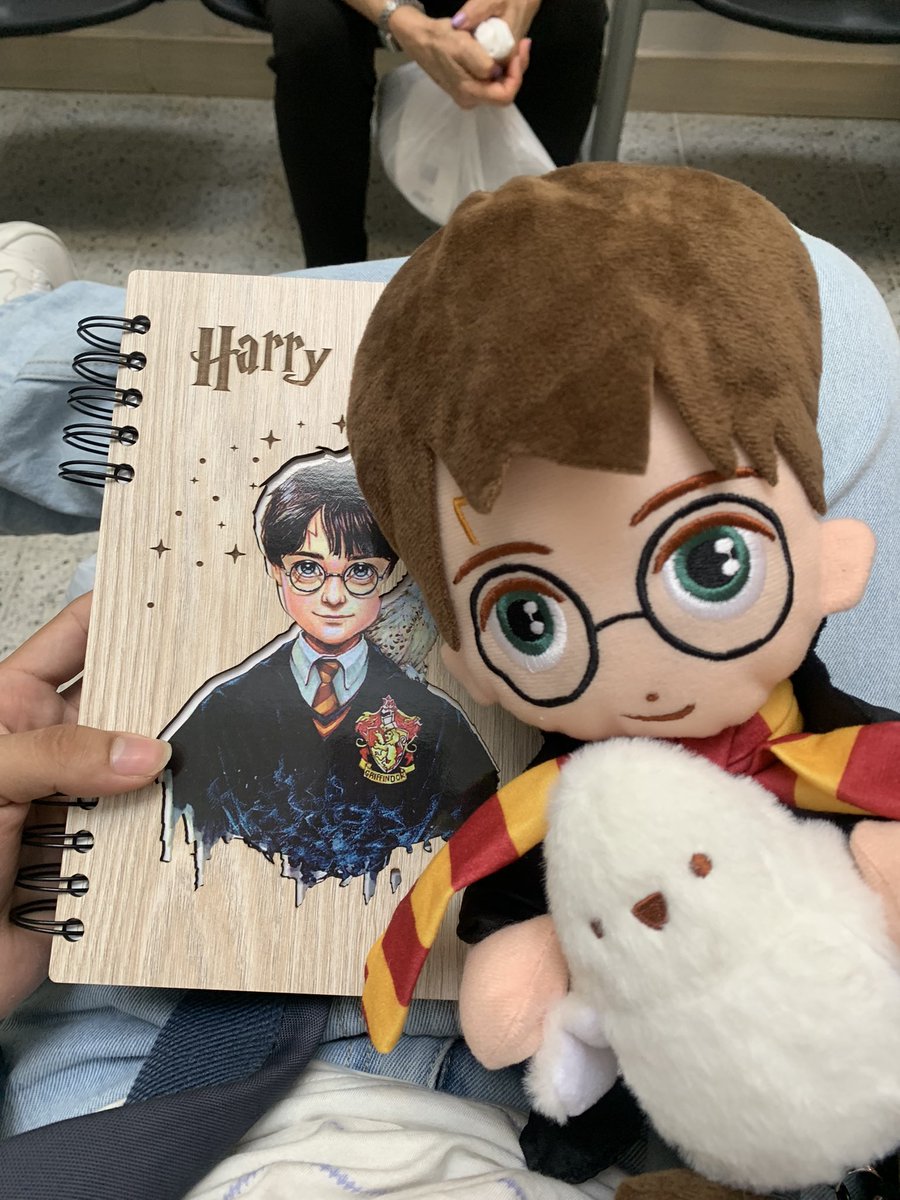 chuchogil03's tweet photo. Me regalaron una agenda con cartas muy lindas y mis mejores amigas de la empresa me regalaron un peluche de harry para que siempre las recuerde, las voy a extrañar mucho :( https://t.co/hPaG6p3HJ7