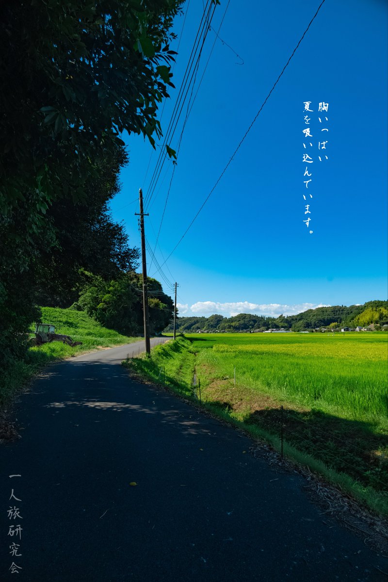 hitoritabiken's tweet image. 胸いっぱい、夏を吸い込んでいます。