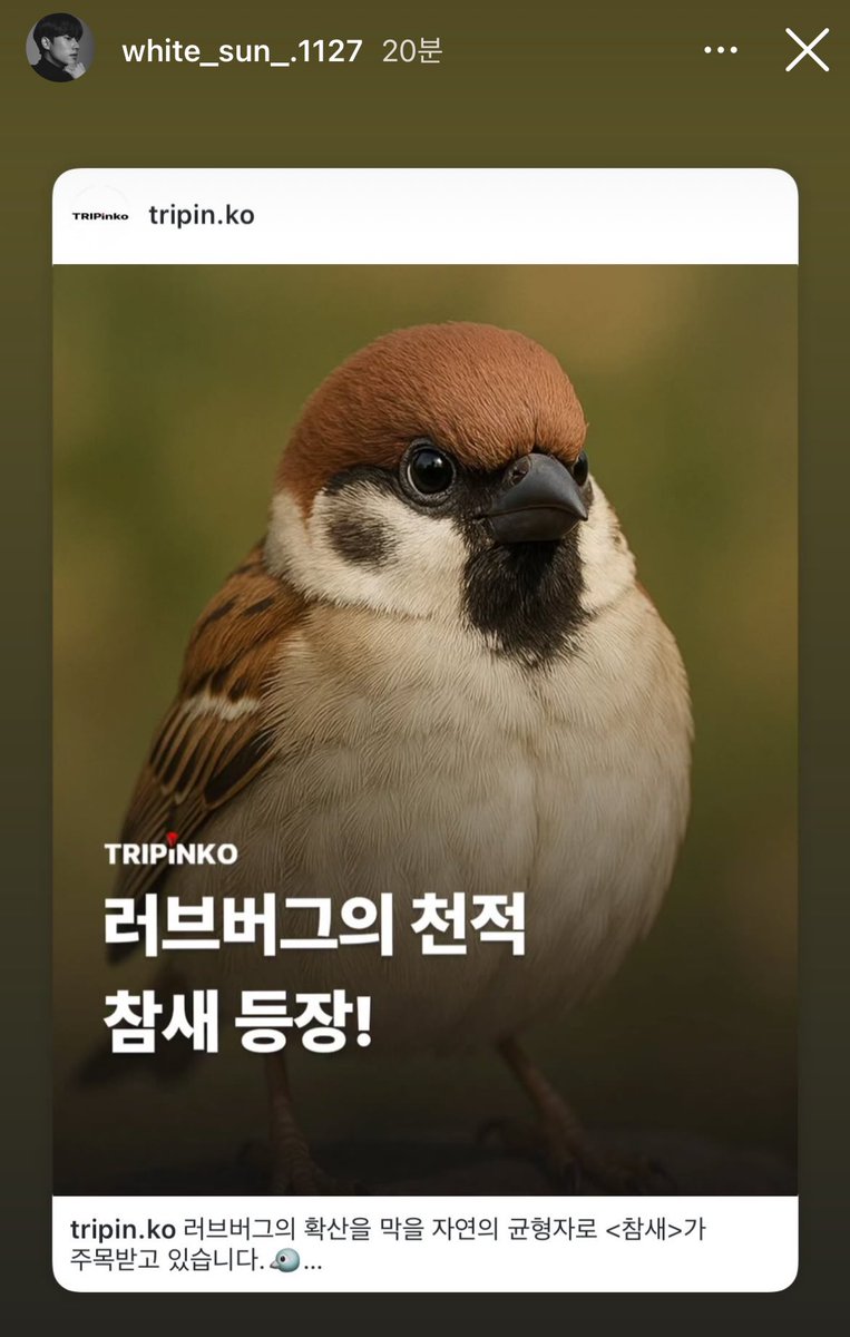 Ari_mulberry's tweet photo. 뱃서닠ㅌㅋㅋㅋㅋㅋ뭔 스토리 올렸나 했는뎉ㅋㅋㅋㅋㅋㅋㅋㅋㅋㅋㅋ https://t.co/g7pmezEOKX