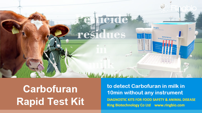 Ringbiotests's tweet photo. #Ringbio's Carbofuran #RapidTest Kit is to detect #carbofuran in #milk in 10min. The detection limit complies with #EU #MRL. The kit has high specificity for #carbofuran and can be used by #labtesting, which is fast, accurate and sensitive.

Click here,
https://t.co/quVam2dq1R https://t.co/rtO4nqESRc
