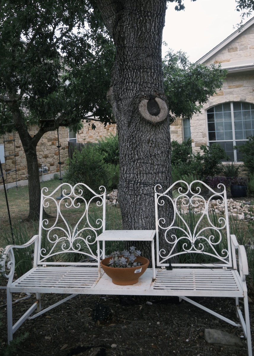 tarik ♓︎ tweet media