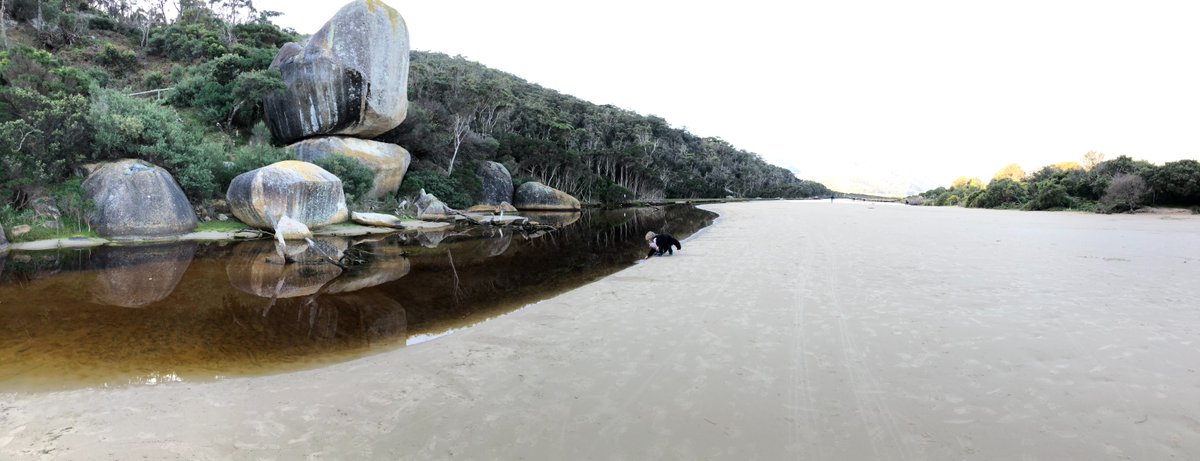 One Gippsland (@onegippsland) on Twitter photo Work has started to upgrade the Tidal River Visitor Centre at the Prom.
It's part of the $23m Wilsons Prom Revitalisation.
We want to grow our region's tourism footprint & create unforgettable Australian experiences.
<a href="/Steve_Dimo/">Steve Dimopoulos MP</a> <a href="/SamGrothMP/">Sam Groth MP</a> Work has started to upgrade the Tidal River Visitor Centre at the Prom.
It's part of the $23m Wilsons Prom Revitalisation.
We want to grow our region's tourism footprint & create unforgettable Australian experiences.
<a href="/Steve_Dimo/">Steve Dimopoulos MP</a> <a href="/SamGrothMP/">Sam Groth MP</a>