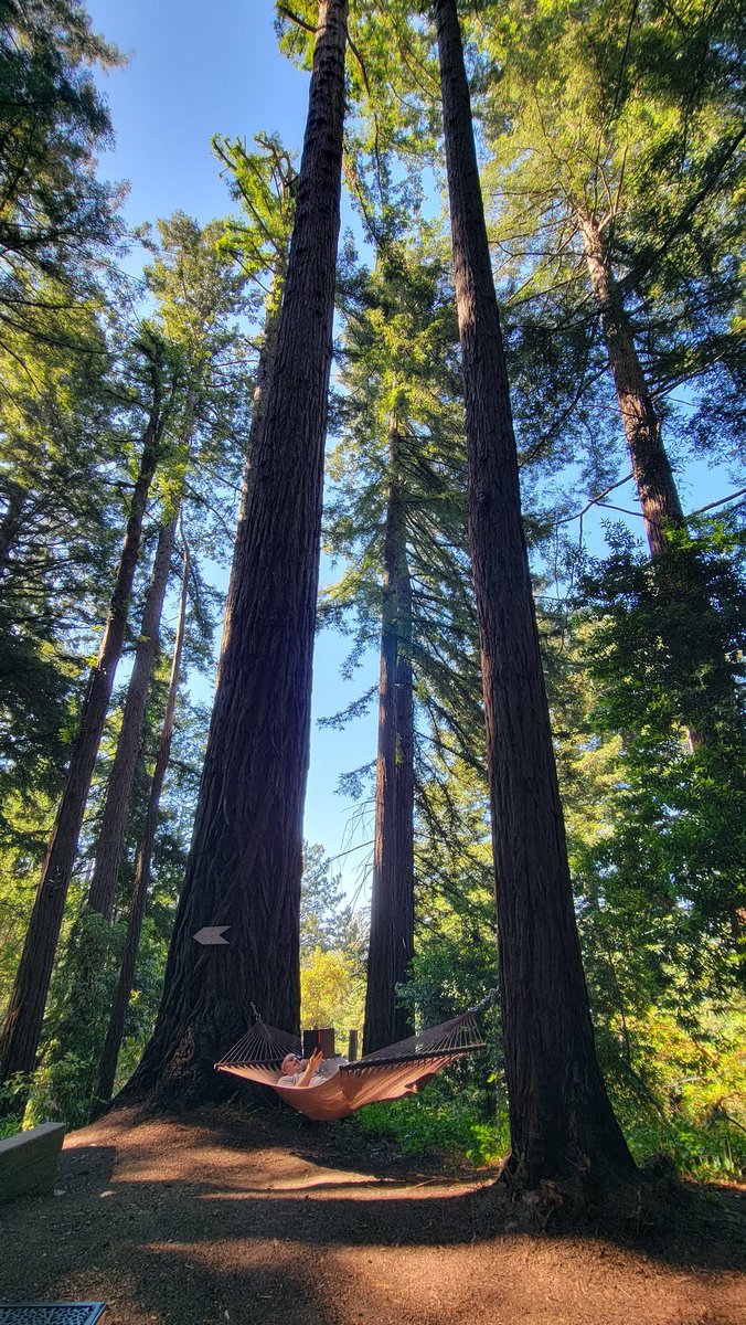ericninaltowski's tweet image. I'm out of the office for a bit. Getting some much-needed R&R n celebrating 20 years of marriage to the most wonderful woman ever!