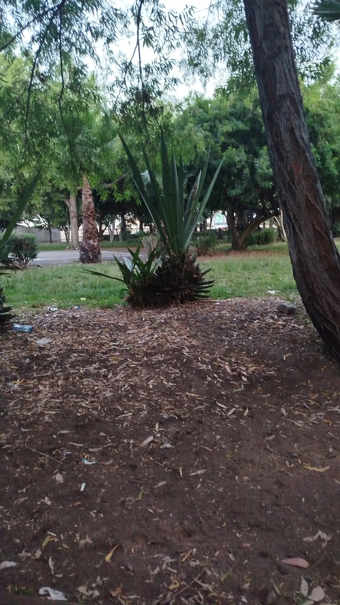 Preparando el fierro