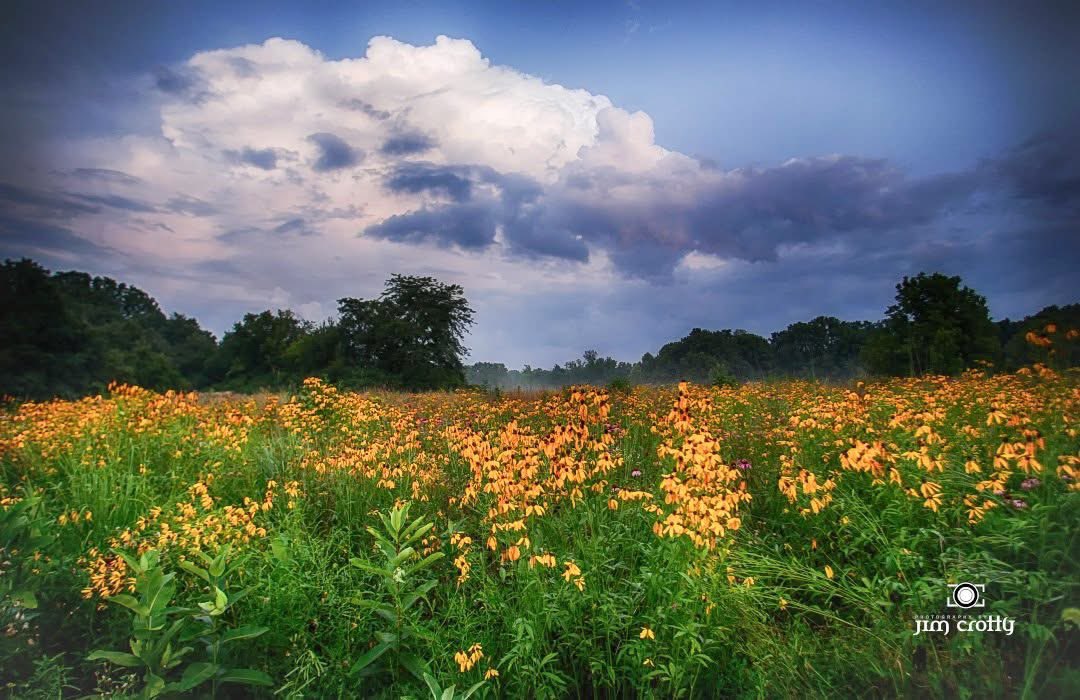 jimcrotty's tweet photo. Welcoming July with a beautiful sky, whether it be in New Mexico, Ohio, or South Carolina. #landscapephotography #summer #july https://t.co/Uvgmpm5VeF