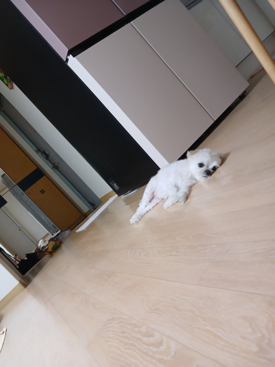 GAWONLEE8's tweet photo. 暑い🥵 https://t.co/JvWfBzhE6u