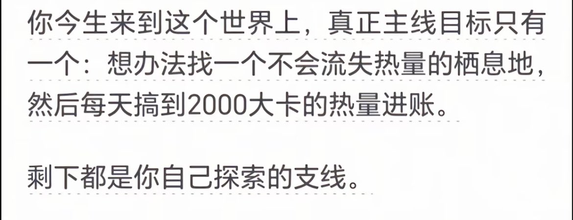 cxy0810's tweet image. 