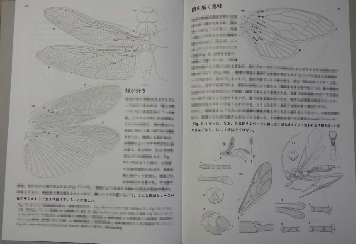 j_atrata's tweet image. 書影は素人臭さ全開ですが、中身はみっちり、点刻も毛もみっちり(ごまかしがきかない程はっきり印刷されてて内心ドキドキ)。A4版本文32p. #博物ふぇす で販売します。#メイドinねこのしっぽ