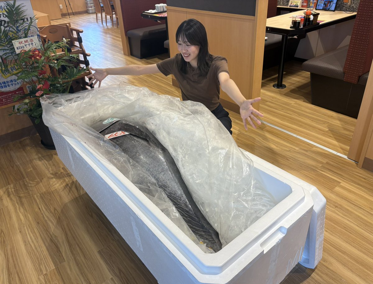 海砂利水魚、鉄崎幹人 ちらし 海砂利水魚、鉄崎幹人 ちらし 海砂利水魚