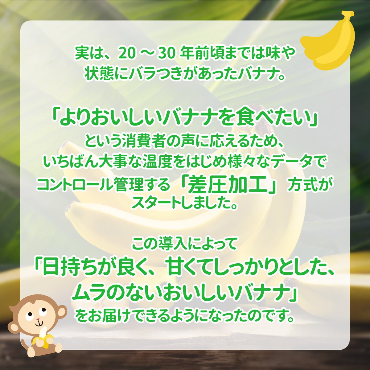 banana_univ's tweet image. 意外と知らない...❓
バナナがどこで買ってもおいしい✨ワケ

「そんなワザが👀…知らなかった～」という方
「いいね」❤️で教えてください！
🍌banana