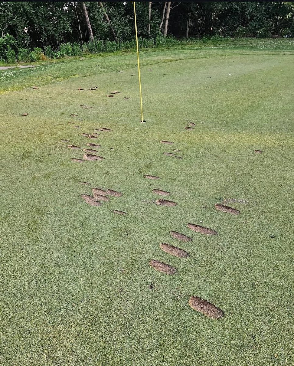 rustinatorr's tweet image. Saw this shit earlier #shrink