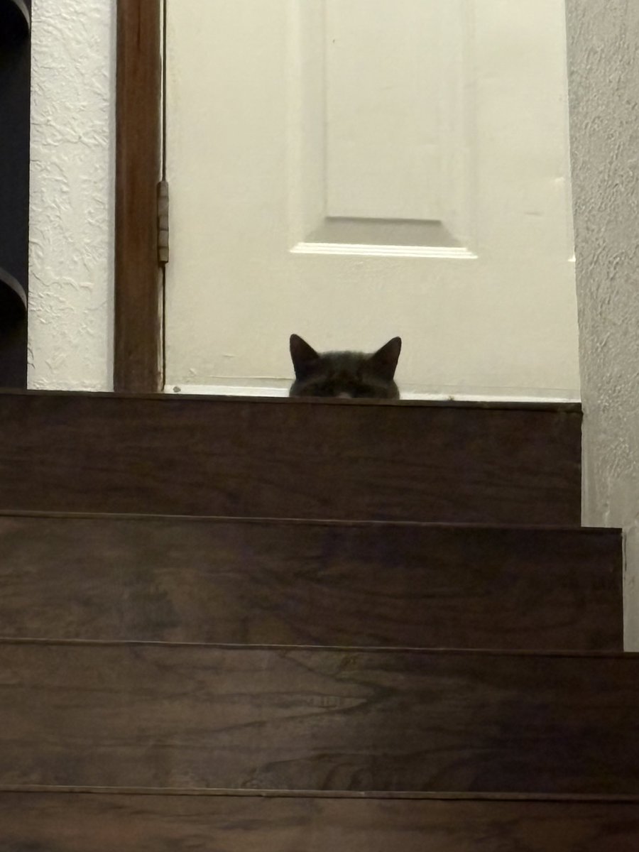 always watching