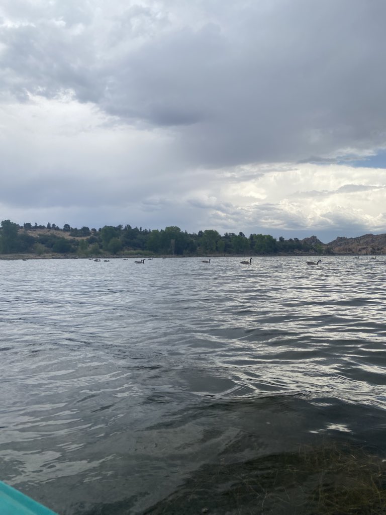 shidneyyy's tweet photo. kayaking 🛶 https://t.co/pKTdsRSuhq