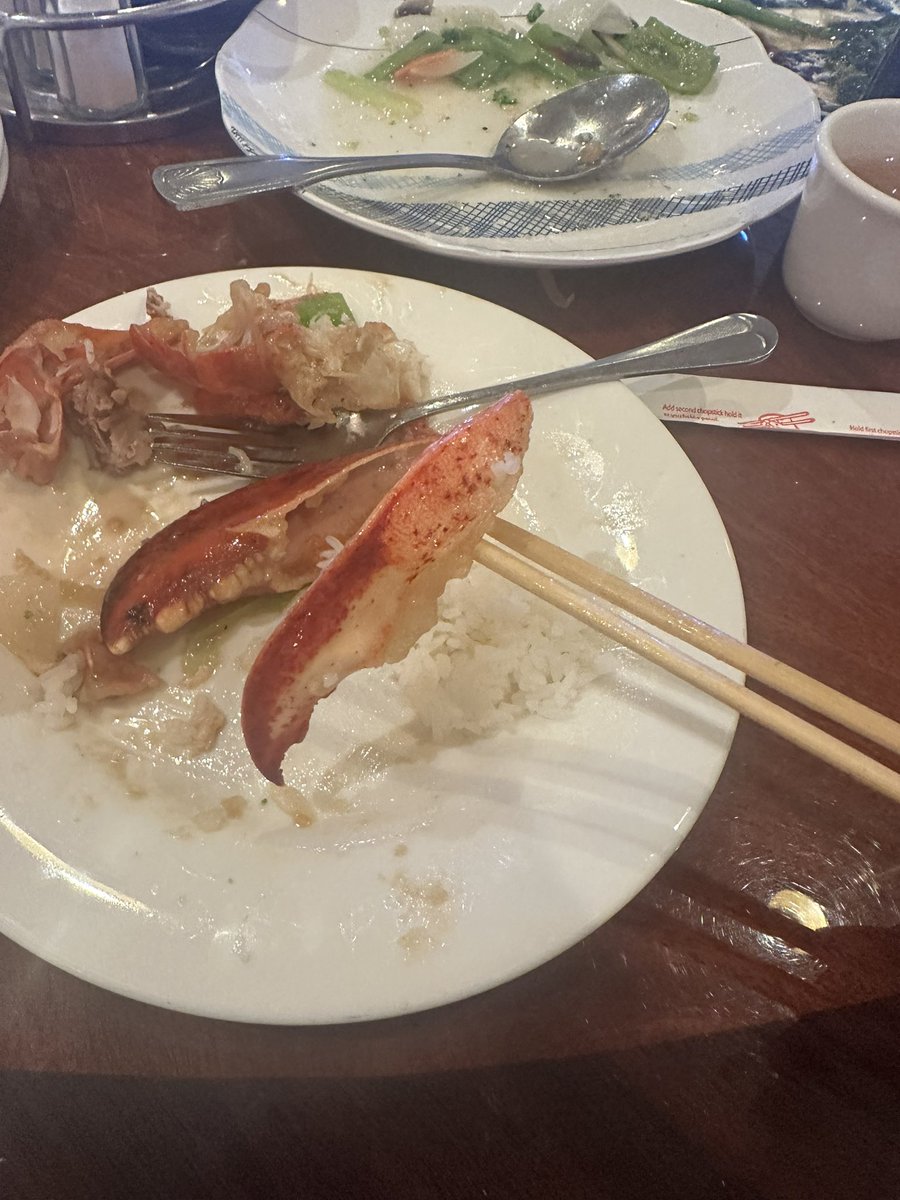 Gli_Chel's tweet photo. It’s always a #lobster day with Lola Angie 🦞 https://t.co/yseaBwDqG8