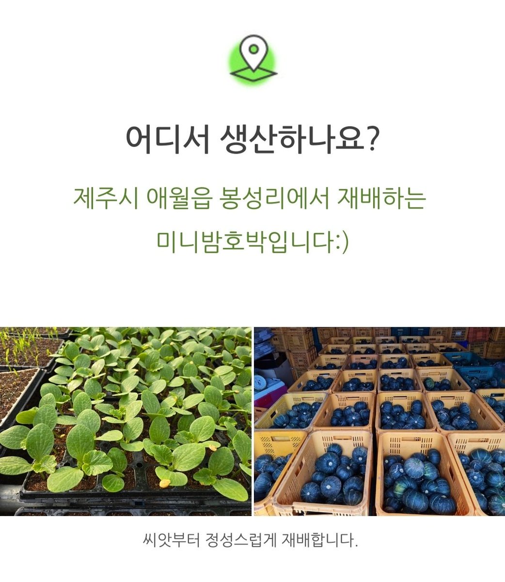 bhonstage's tweet photo. 작년에 사촌언니가 지인이 농사 짓는다며 보내줬던 미니밤호박. 맛있어서 찾아봤더니  애월에서 재배한다고 써 있어서 우선 첫 페이지 캡쳐. 그리고 올해 주문하면서 상세페이지를 봤더니 봉성리래. 맛있는 이유가 있었어😅😅 https://t.co/BR2GYLlU73