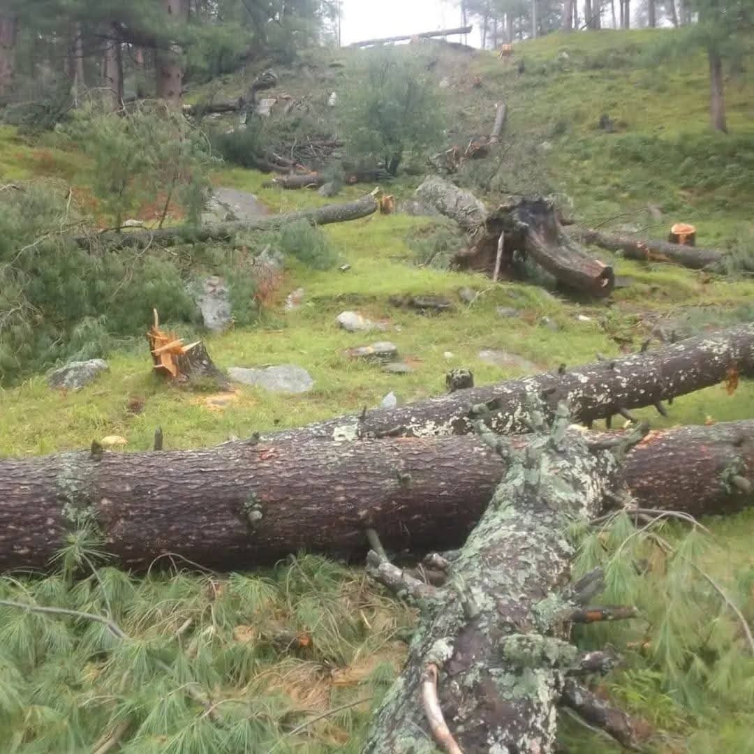 एक बार फिर सत्ता में बैठे कुछ स्वार्थी ,हमारे देवस्थानों को पैसे कमाने के धंधे में बदलने की हर संभव कोशिश कर रहे हैं। 
स्थानीय लोगों ने कभी रोपवे की मांग नहीं की, न ही हमें इसकी आवश्यकता है।
हमारे देवस्थानों को नर्क बनाना बंद करो ।
#savebijlimahadev
#noropewayatbijlimahadev