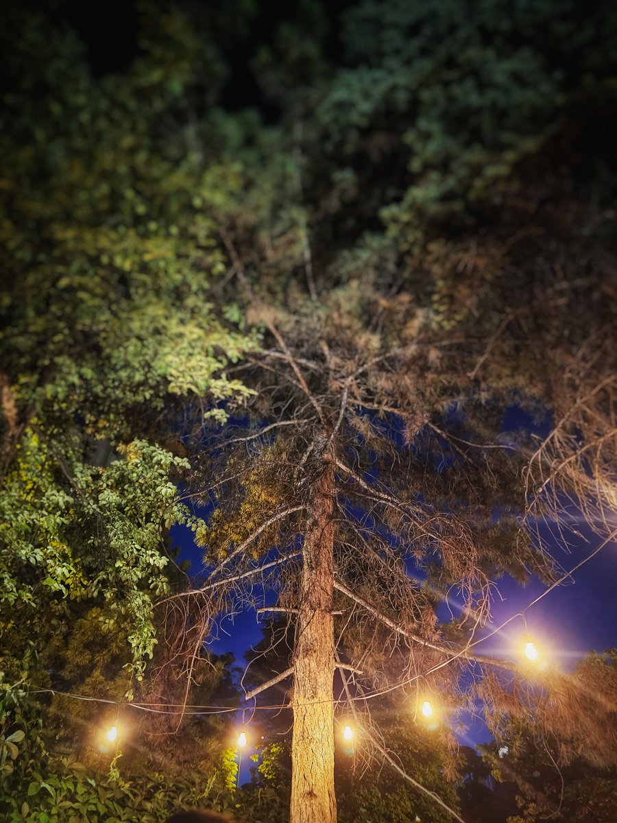 alp ilhan (@alp__ilhan) on Twitter photo 