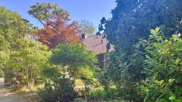 Nieuw artikel -  weekbladdebrug.nl/l/27857