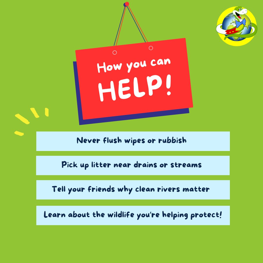 Our rivers are being polluted – and it's hurting the sea too! 💧

Farm muck &amp; ssssewage = green goo (algae) that blocks light &amp; harms wildlife.

Ric Cooper’s swimming to raise awareness – but he can’t do it alone.

bbc.co.uk/news/articles/…

Jake x

#riverheroes #saveourrivers