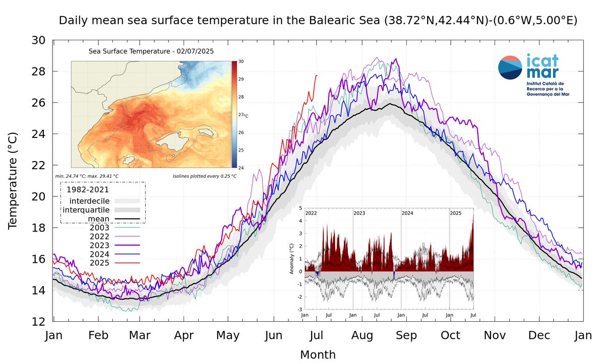 🌊🌡️ L'anomalia tèrmica al mar Català bat rècords històrics. Una massa compacta d’aigua amb una Tº superficial superior als 29ºC ocupa la part central del mar Balear. A nivell regional, l’aigua ha assolit, a principis de mes, una Tº més elevada que la del pic més càlid del 2024.