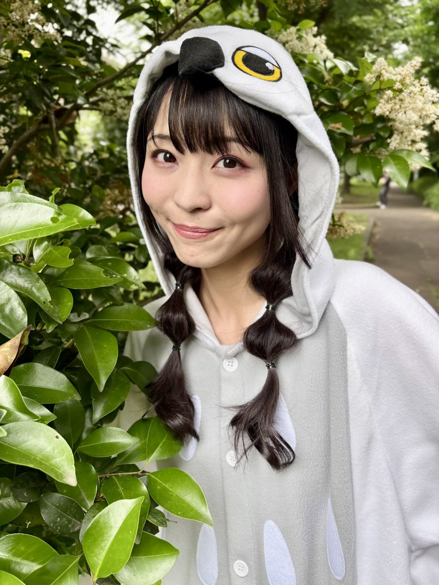 terashima_yufu's tweet photo. 7/12(土)池袋Mixa Theaterで開催の「寺嶋由芙生誕記念イベント2025〜#ブクロでゆっふぃー〜」一般発売中なのです🦉
アンケートをもとにセットリストを決めているので、いつもと違うあの曲も聴けちゃうかもです❣️

チケット発売中なのです🎫
https://t.co/93YiiudAuZ https://t.co/IBBE39L8iD