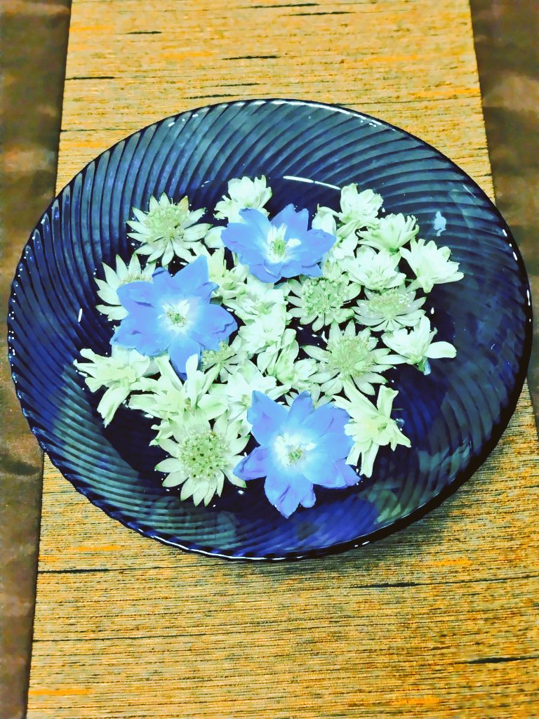 bua10732378's tweet image. 花遊び。あ、お暑うございます。
今日も一日お疲れ様です。私も。
父がテレビの台にもお花が欲しい
なぁ。って言うので、可愛い壺型
のクレマチスを一輪。
何となくだけど、涼しげな感じに
なりました。いつものお花屋さん
で笹と短冊のセットがあったので
玄関に活けました。🎋