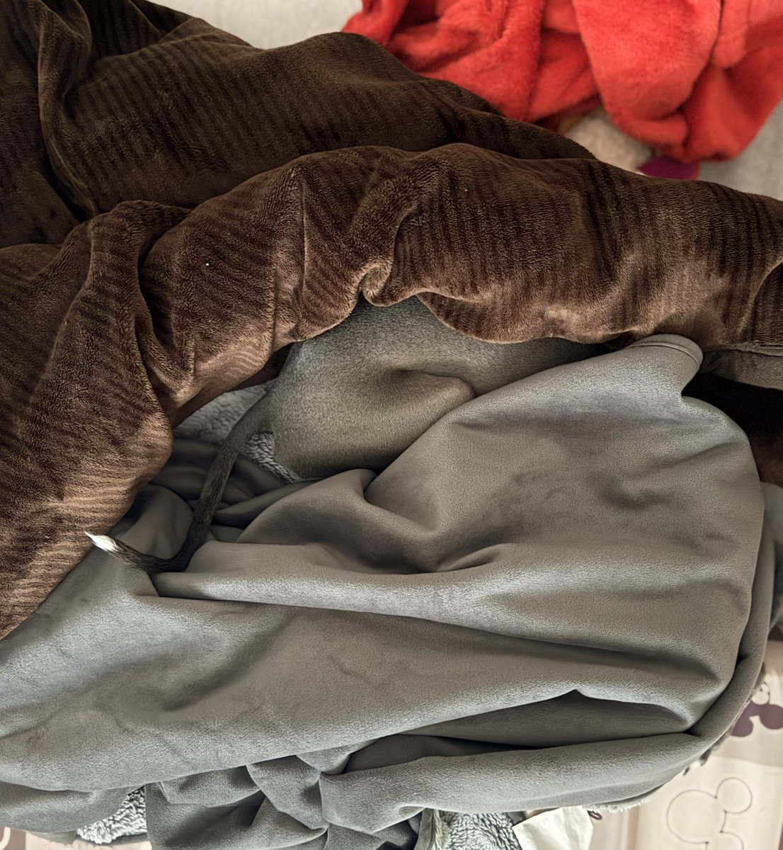 同化
(しっぽないと気付けない）