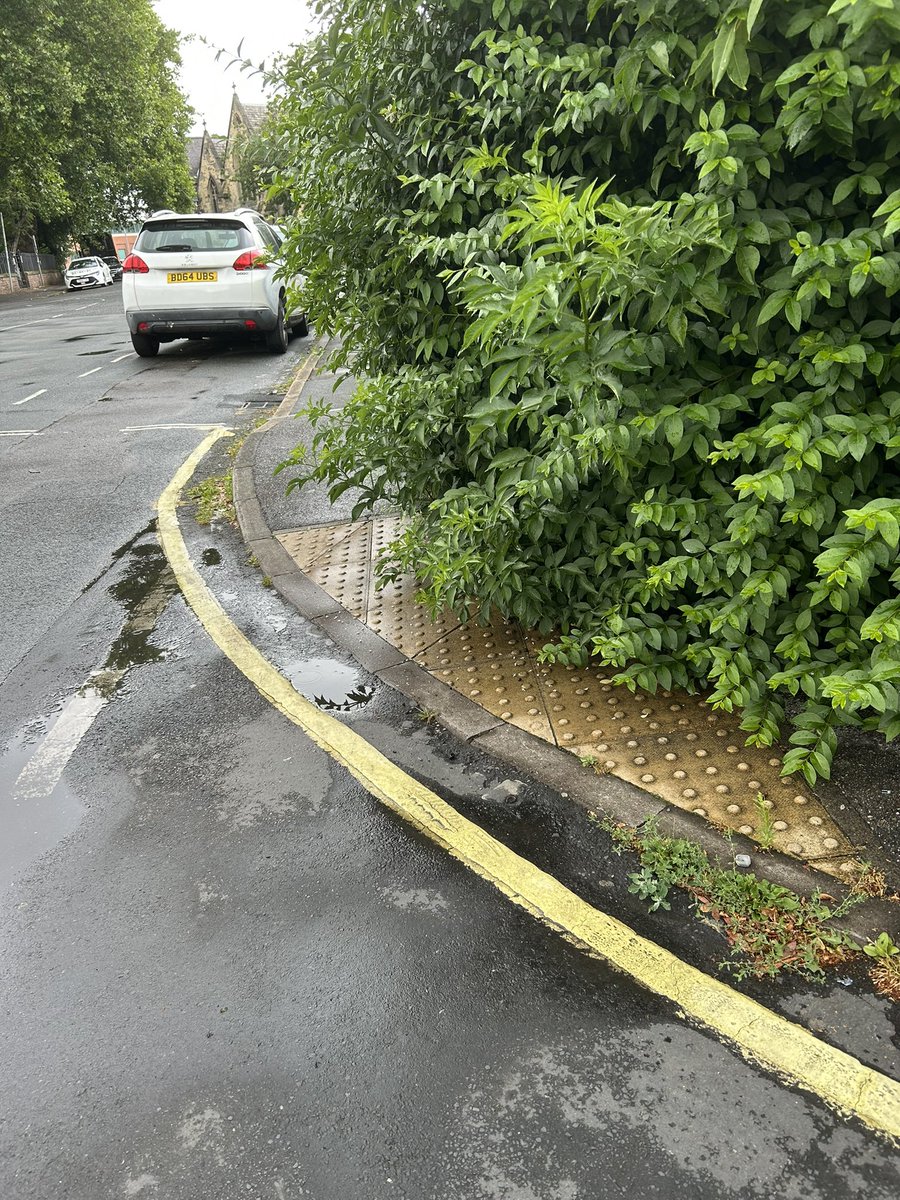Flick Williams (@flickhwilliams) on Twitter photo At #ACY25 <a href="/simonlightwood/">Simon Lightwood MP</a> tells delegates small interventions can make a big difference to people. The Council should take note that less than 200 yards from the conference centre the dropped kerb is blocked by an overgrown hedge. But disabled people don’t matter, do we ⁉️ At #ACY25 <a href="/simonlightwood/">Simon Lightwood MP</a> tells delegates small interventions can make a big difference to people. The Council should take note that less than 200 yards from the conference centre the dropped kerb is blocked by an overgrown hedge. But disabled people don’t matter, do we ⁉️