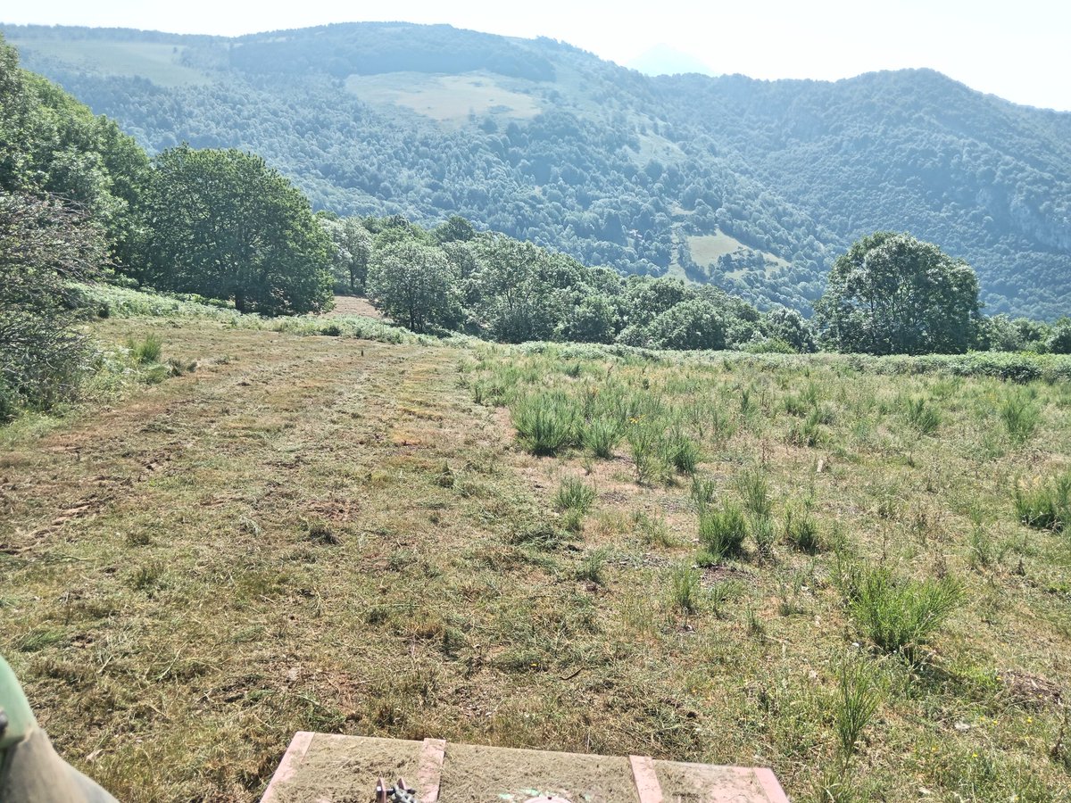 D'ara endavant per fer manteniment de pastures posaré un ramat d'ovelles.
No hauré de treballar, els tècnics rurals em donaran pagueta, aniré de gira tertuliana i els periodistes intrèpids especialitzats en la cosa ruralota em presentaran com un heroi.
#SarcasmeRuralot
Bon dia 😁