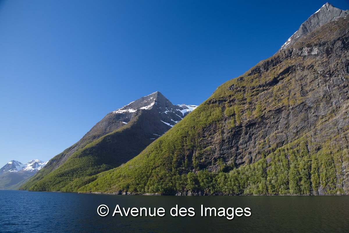 Avenue des Images tweet media