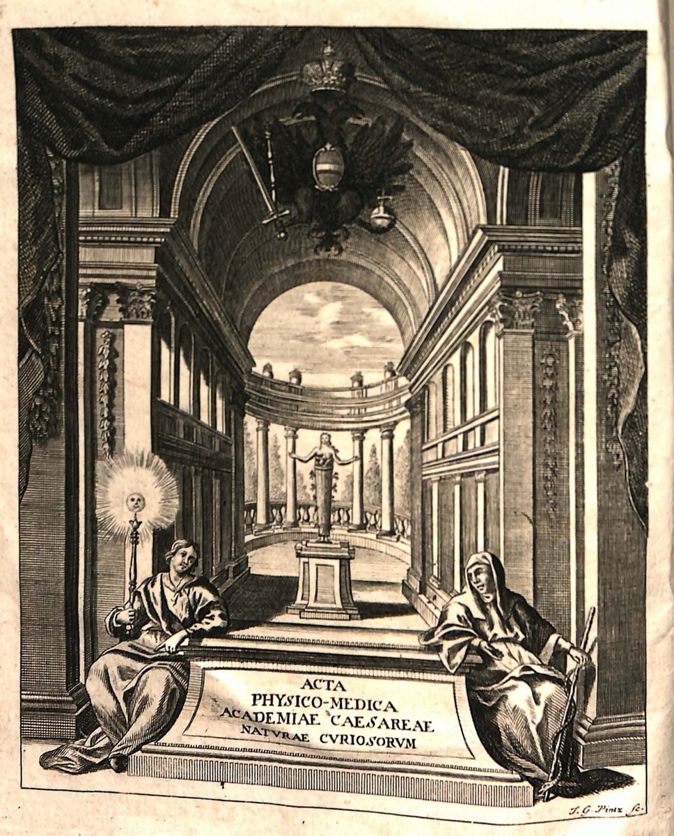 En un grabado de Johann Georg Pintz (1697-1768), la medicina y la curiosidad abren paso a una estructura arquitectónica clásica cuyo centro es presidido por  Artemisa de Éfeso, diosa de la fertilidad y la abundancia, protegida por el águila bicéfala imperial de los Habsburgo