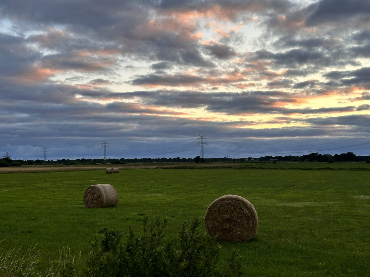 Ich mache übrigens auch Bilder ohne Windräder - so wie dieses (heute um halb sechs)