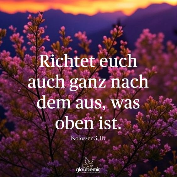 glaubemir7's tweet photo. Richtet euch auch ganz nach dem aus, was oben ist. Kolosser 3,1b

#Bibel #Kolosser #bibelvers #christlichesprüche #glaube #hoffnung #bibelzitate https://t.co/PJEQtoILvO