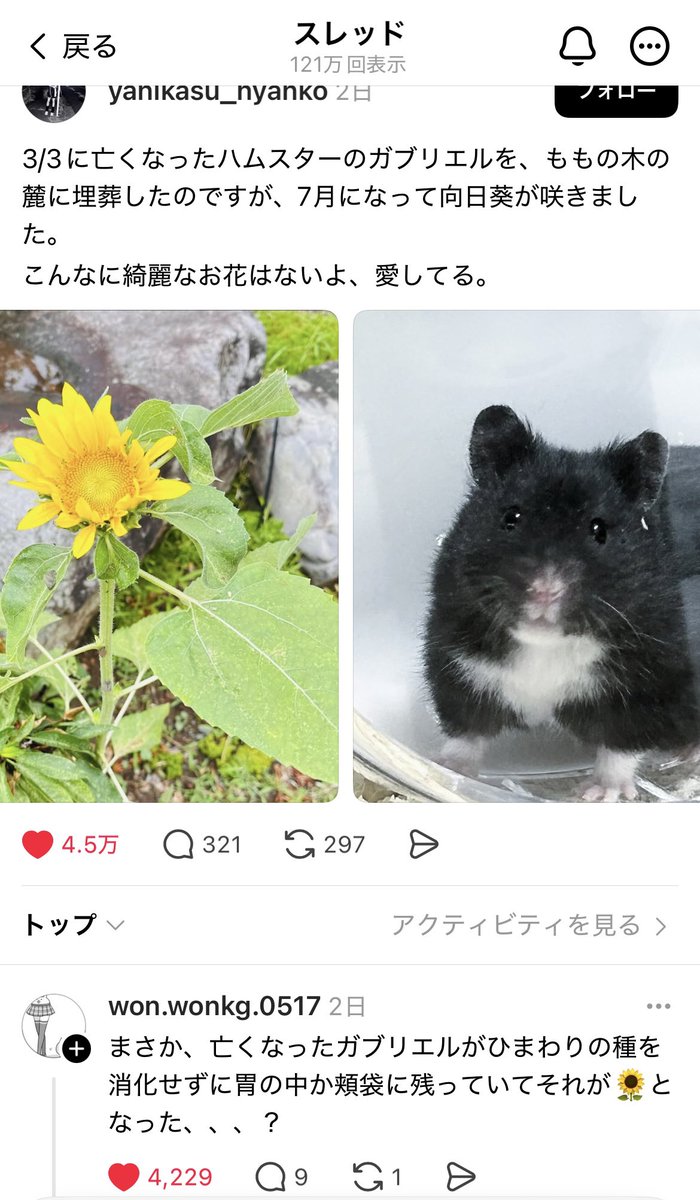 スレッズ共有。泣き散らかした