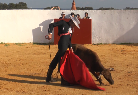 ESTA  NOCHE.

A las 21.00h en <a href="/7TVSevilla/">7TV Sevilla</a> 

De la mano de <a href="/GRayoVictor/">Víctor García-Rayo</a> , una jornada para enmarcar con <a href="/torerorubensanz/">Rubén Sanz</a> 

👇👇👇👇👇
videos.toromedia.com/w/e2QuRvfj9tVB…