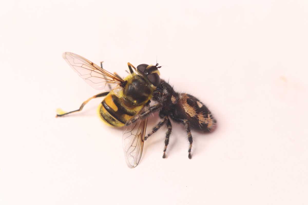 Uni of Nottingham Press Office tweet media