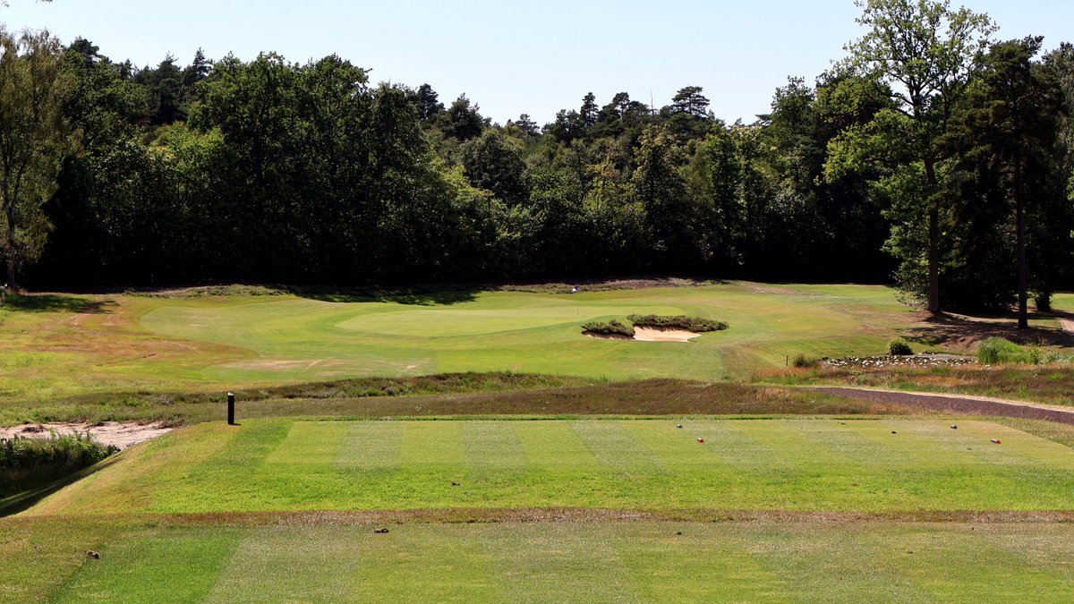 Rob Smith tweet media