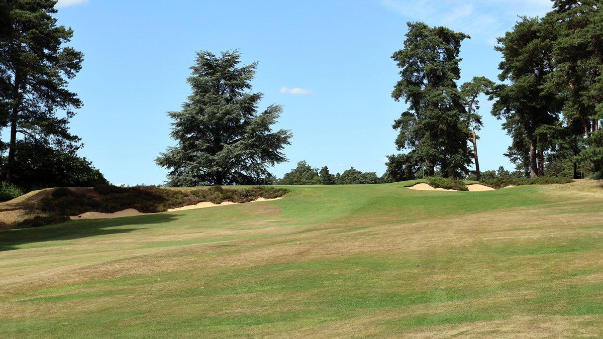 Rob Smith tweet media