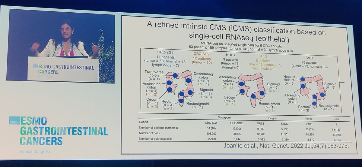 DrJorgeB_George (@drjorgebarriuso) on Twitter photo Amazing trip through translational research in colorectal cancer from Sanger sequencing to Single Cell by <a href="/fdinicolantonio/">F. Di Nicolantonio</a> at <a href="/myESMO/">ESMO - Eur. Oncology</a> #ESMOGI25 #ESMOAmbassadors Amazing trip through translational research in colorectal cancer from Sanger sequencing to Single Cell by <a href="/fdinicolantonio/">F. Di Nicolantonio</a> at <a href="/myESMO/">ESMO - Eur. Oncology</a> #ESMOGI25 #ESMOAmbassadors