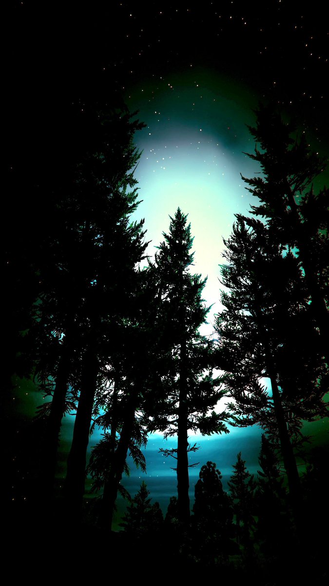 🌴MIAMI455🌴☀️🎥📸❤ (@xmiami455x) on Twitter photo The forest and the sea 📸
#GTAOnline
#GTA5
#GTAV
#RockstarGames
#StonedFlowers
#Bonk
<a href="/flowers_stoned/">ѕтoɴed ғlowerѕ🥀</a>
<a href="/RockstarGames/">Rockstar Games</a> The forest and the sea 📸
#GTAOnline
#GTA5
#GTAV
#RockstarGames
#StonedFlowers
#Bonk
<a href="/flowers_stoned/">ѕтoɴed ғlowerѕ🥀</a>
<a href="/RockstarGames/">Rockstar Games</a>