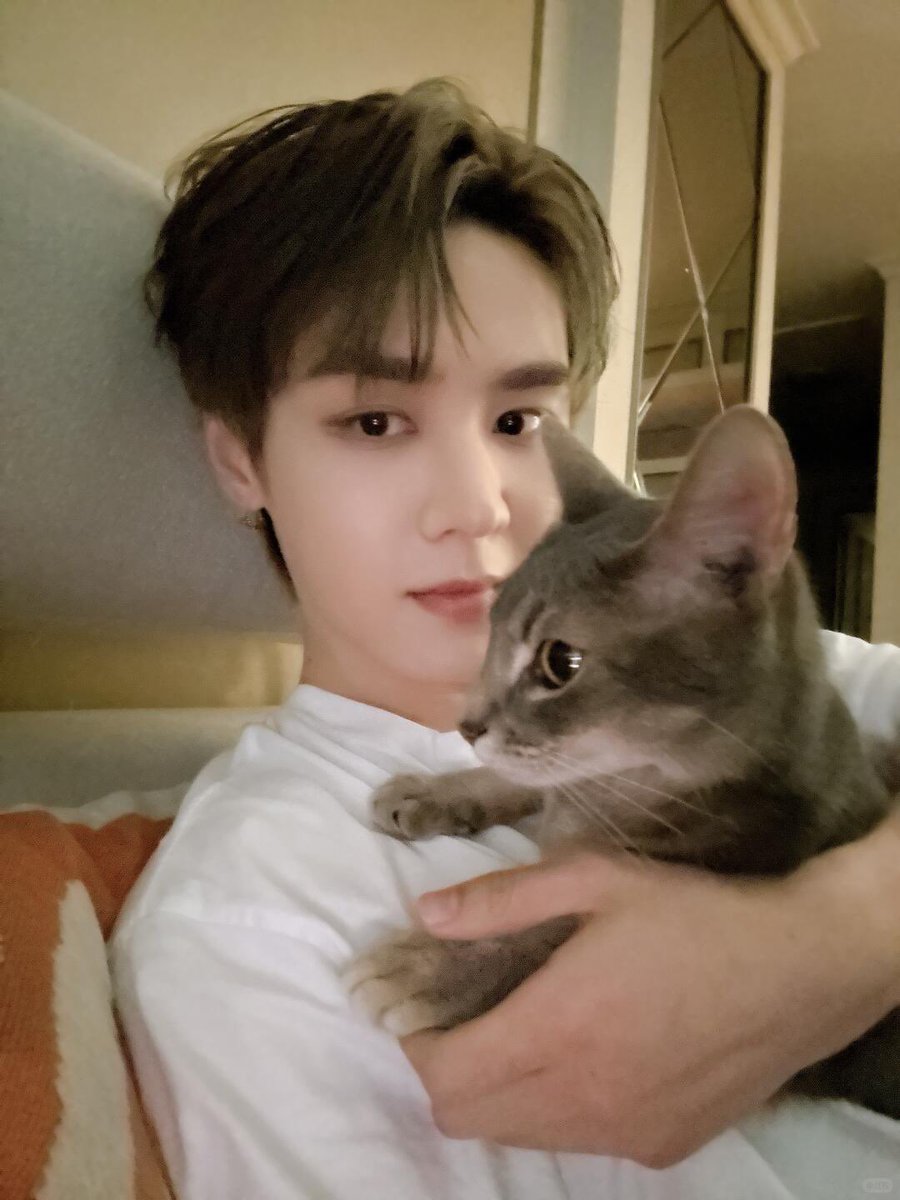 dazzle_0101KUN's tweet photo. 쿤 샤오홍슈 업뎃🐻💚

介绍一下我们家逆子🍪
Cookie🍪😙 #谁家小猫长得这么别致 #阿比西尼亚

우리집 불효자를 소개합니다🍪
쿠키🍪😙 #누구 고양이 이렇게 특이하게 생겼어 #아비시니아 https://t.co/tzfnRRbtrl