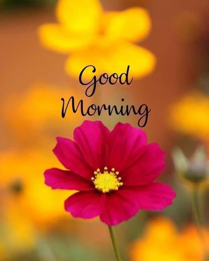 ARCCowal's tweet image. Good morning troops, hope you&apos;re all well today. #MakingRecoveryVisible #stigmafree #recoveryjourney