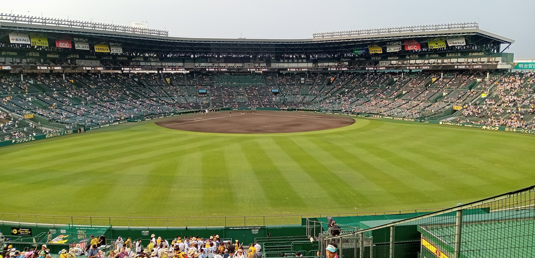 Ki-gu-mi X 阪神タイガース甲子園球場（ki-gu-mi x タイガース