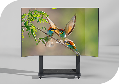 ashokpandian's tweet photo. ViewSonic Rolls Out Foldable 138” LED Display in India, Transforming AV Setups with Plug-and-Play Simplicity. #viewsonic #foldableled https://t.co/6oNFVHuC9y