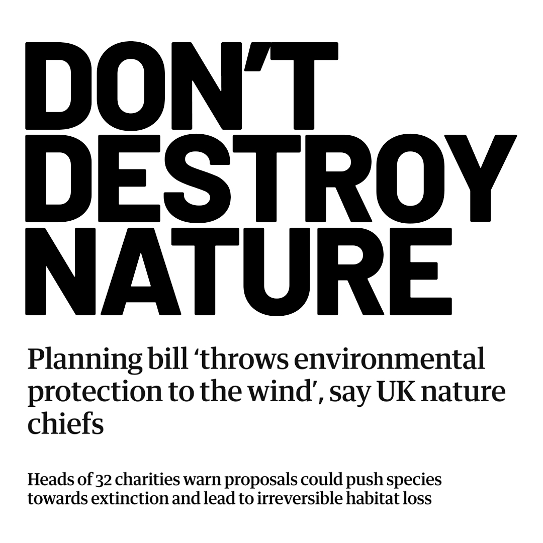 Ancient woodlands are at risk of being bulldozed for profit, where otters, owls, and badgers could lose their homes overnight.

Labour’s new planning bill could decimate nature in favour of corporate developers.

Share if you think what Labour is doing is wrong.