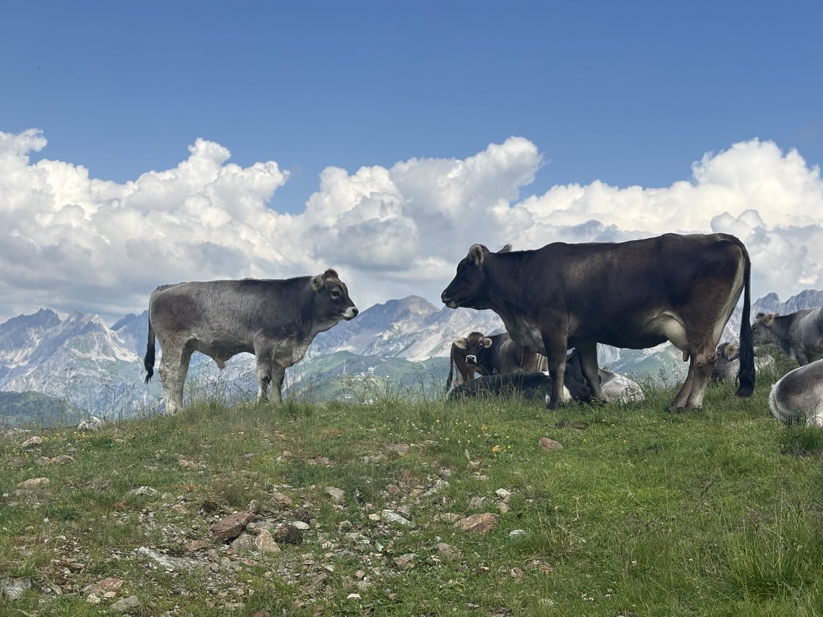 L’adaptation au changement climatique, c’est maintenant et c’est avec l’agriculture !