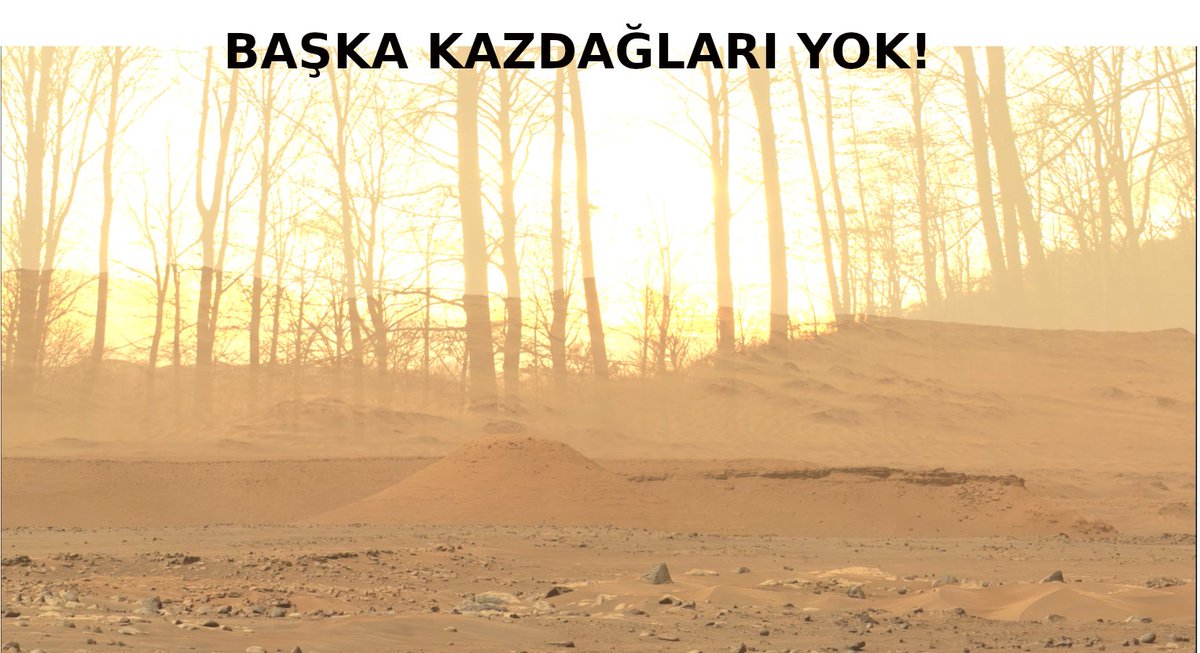 VAktivistler's tweet photo. @EkolojiKaz https://t.co/UnFZXy98mx