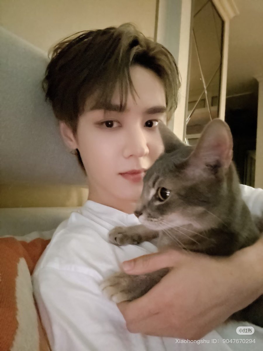 xiaojun_xdj's tweet photo. OMG KUN CAT NAMED COOKIE https://t.co/q1RQluv3Vu